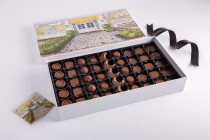 Eid Assorted Chocolate Medium Box-E24-47