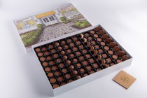 RAMADAN ASSORTED CHOCOLATE BOX LARGE-R24-62
